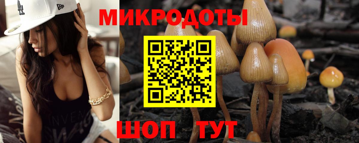 Галлюциногенные грибы прущие грибы  Псилоцибиновые грибы мицелий  Аша  Вход с VPN 